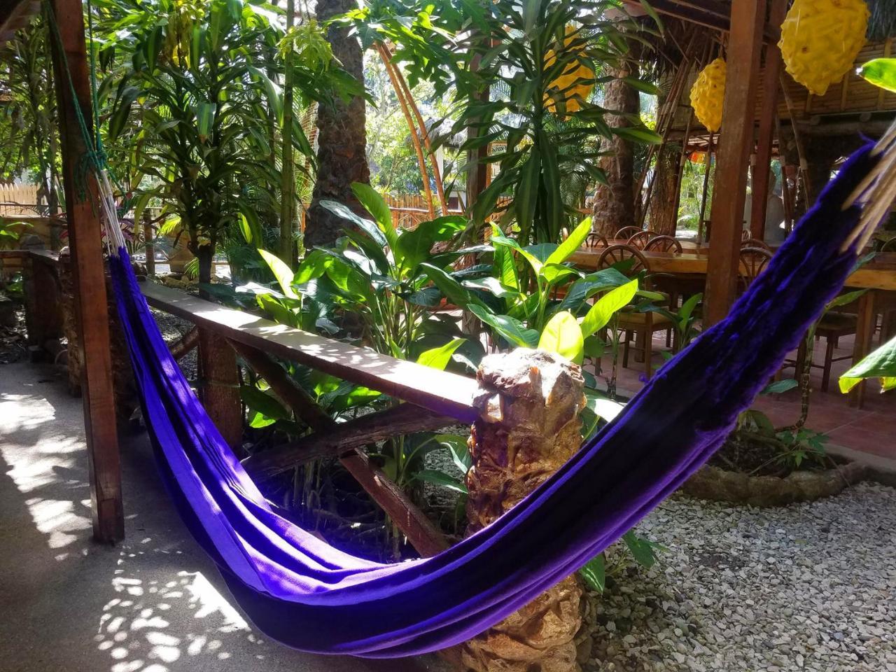 Montañita Casa Del Solホステル エクステリア 写真